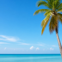 Palm tree